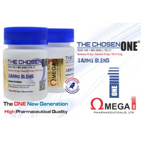 The Chosen ONE ® The Chosen ONE ®