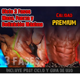 Ciclo 3 Fases Masa, Fuerza y Definición Máxima. PREMIUM Ciclo 3 Fases Masa, Fuerza y Definición Máxima. PREMIUM