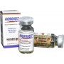 Andronext 600 ®